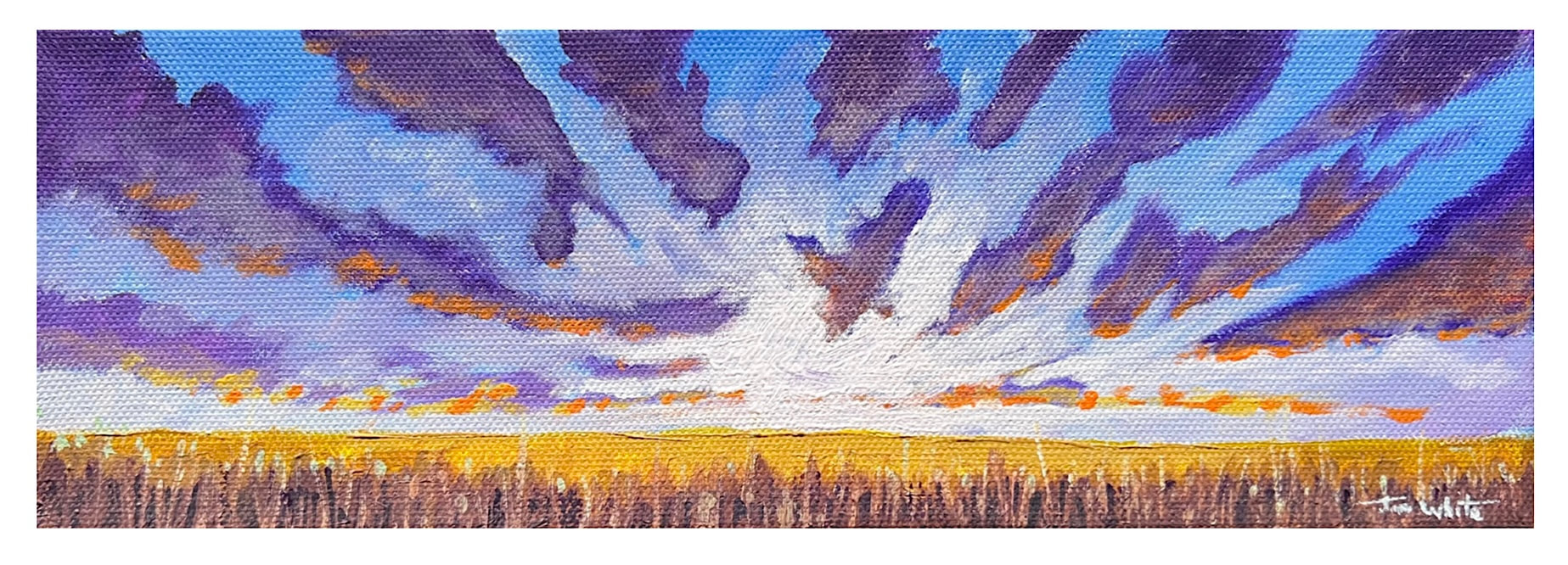 Prairie Sky #1