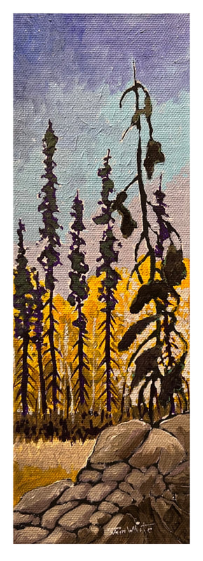 Lodgepole Pine #3, Acrylic painting by Canadian landscape artist, Jim White