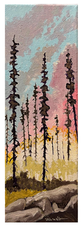 Lodgepole Pine #2, Acrylic painting by Canadian landscape artist, Jim White