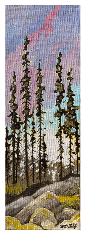 Lodgepole Pine #1, Acrylic painting by Canadian landscape artist, Jim White
